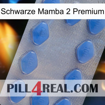 Black Mamba 2 Premium 21